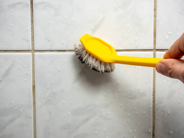 Best Same-Day Mold Removal  in Union, OR