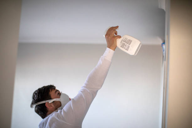 Best Office Mold Removal Services  in Union, OR