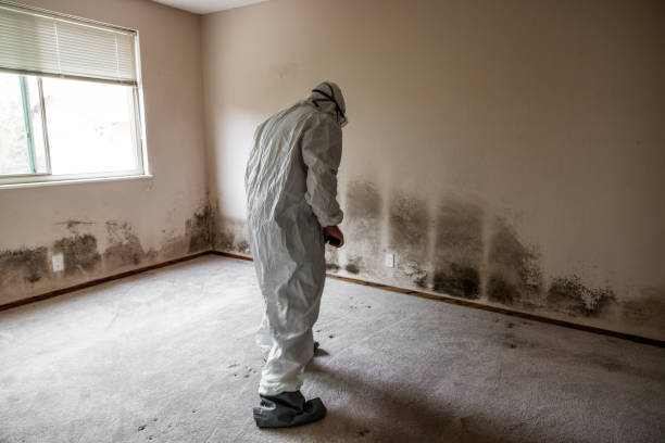 Best Mold Testing  in Union, OR
